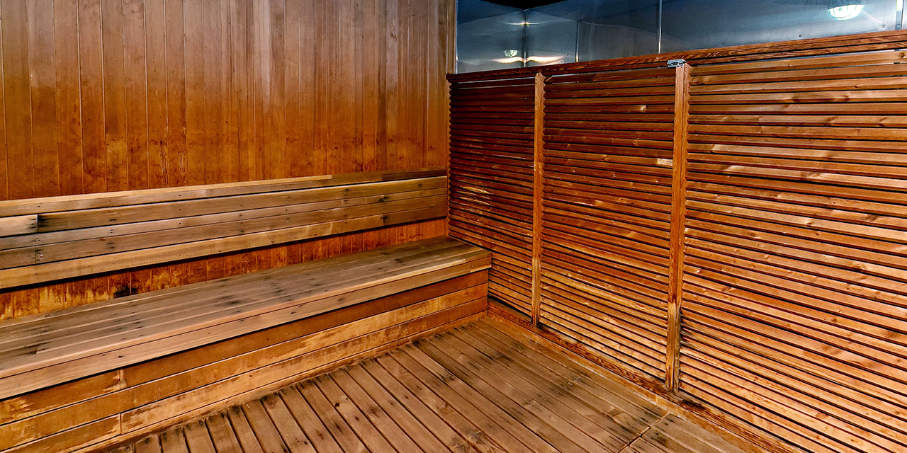 건식 사우나